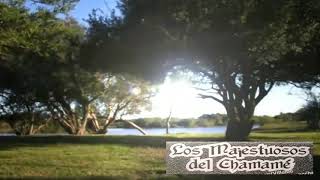 Los Majestuosos del Chamamé  Enganchados En Vivo 5 🎶🎼🎵♩ [upl. by Ferdinand]