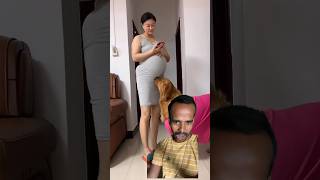 Smart dog funny dog doglover [upl. by Ball]