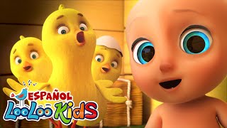 🎵 ¡Una Hora de Alegría con Los Pollitos 🐤🎶🕒 Canciones infantiles [upl. by Drolyag]