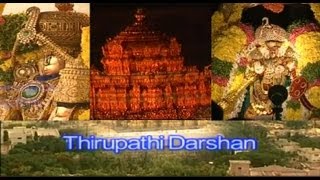 Tirupati Darshan I A Pilgrimage to Tirumala During Brahmotsavam [upl. by Ecyle]