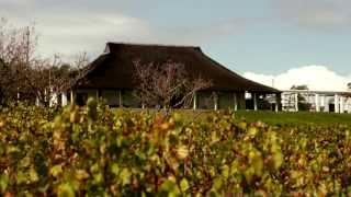 Bouchard Finlayson  Boutique Winery Cape Town [upl. by Florencia]