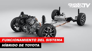 ¿Cómo funciona el Sistema Híbrido de Toyota [upl. by Savick472]