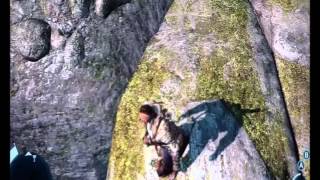 Assassins creed 3 solution babiole jambe de bois [upl. by Lilhak26]