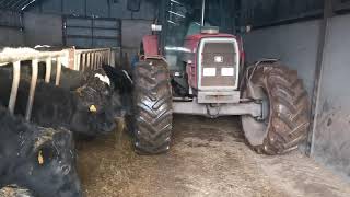 Matbro TR 200 and MF 6170 silaging with the Teagle Tomahawk 4040 [upl. by Latreece29]