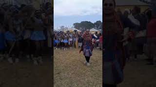 Mpondo Reed Dance 2024 Princess Stella Sigcau II with maidens [upl. by Dwyer]