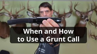 How and When to Use a Grunt Call [upl. by Nylhtak876]