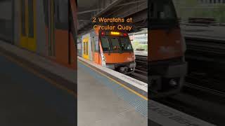 2 Waratahs at Circular Quay train sydneytrains [upl. by Bal]