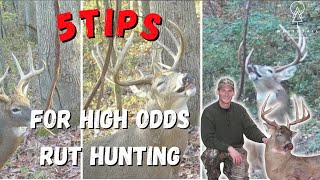 5 Quick Tips for High Odds Whitetail Rut Hunting [upl. by Coheman]