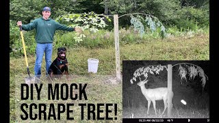 How to make a Mock Scrape Tree for Deer [upl. by Bow]