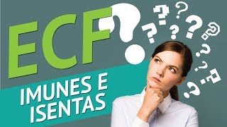 ECF PARA ENTIDADES IMUNES E ISENTAS  WK Sistemas [upl. by Lougheed894]