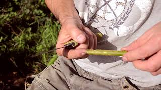 How to whittle carve a whistle in wood in under a minute Speed whittling [upl. by Bil]