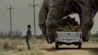 Two Giant Gorilla plays the car [upl. by Mollie]