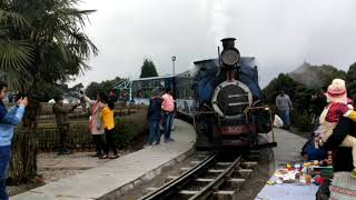 Darjeeling Toy train [upl. by Say]