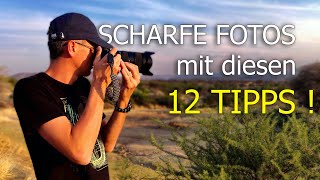 Fotos unscharf 📸 12 Tipps für bessere und scharfe Fotos  Anfänger [upl. by Seko]