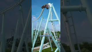 🚨Canada’s Wonderland announces AlpenFury Canada’s Tallest Fastest amp Longest Launch Coaster [upl. by Assillim]