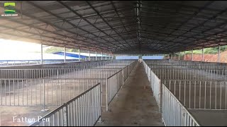 We can provide professional pig farm design planFREE [upl. by Nairadas]