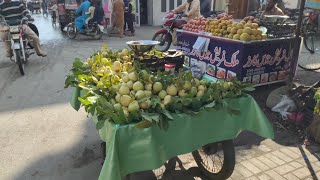 Amrood Laga Liye 😊  Amrood Ke Bagh Gaye 😍  Guava Garden ❤  amrood guava garden bagh  377 [upl. by Derdle]