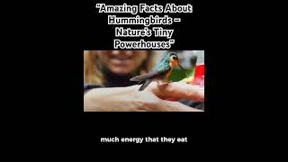 “Amazing Facts About Hummingbirds – Nature’s Tiny Powerhouses” [upl. by Anuaik]