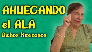 QUÉ significan los DICHOS MEXICANOS [upl. by Demahom839]