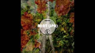 MINT JPN  Magnetic Field Original Mix [upl. by Llennor]