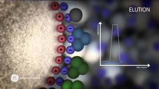 Principles of Ion exchange chromatography [upl. by Ordnazil108]