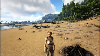 le début dune aventure mouvementé sur ARK cluster ep1 [upl. by Erdah]