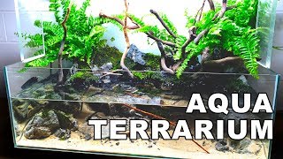 INCREDIBLE AquaTerrarium AQUASCAPE  HOW TO No Ferts No Heater No co2 [upl. by Binette]