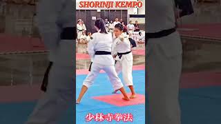 Shorinji KEMPO WOMEN FIGHT 04 [upl. by Senoj]