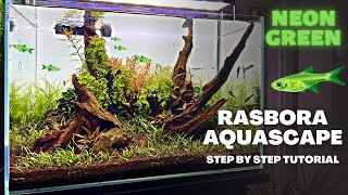 NEON GREEN RASBORA AQUASCAPE TUTORIAL STEP BY STEP PLANTED TANK GUIDE [upl. by Melda232]