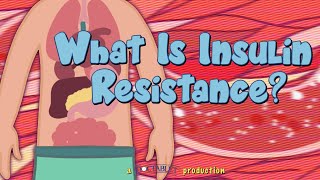 What is Insulin Resistance [upl. by Llemart24]