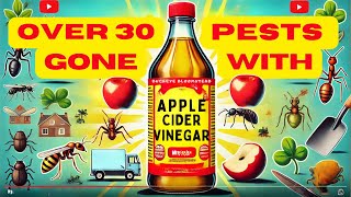 Over 30 Pests Gone with One Ingredient Apple Cider Vinegar Hacks [upl. by Sandor]