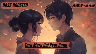 Tera Mera Hai Pyar Amar  Bass Boosted  Slow amp Reverb  Ishq Murshid Ost  Lyrics [upl. by Comyns]