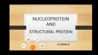 nucleoprotein and structural protein [upl. by Martainn]