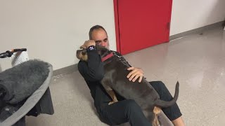 Stolen emotional support dog reunited with its owner [upl. by Arot]