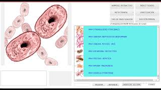 BIOPHILIA TRACKER X4 PRESENTACION [upl. by Artimid]