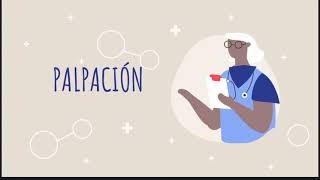 👉EXAMEN FÍSICO DEL SISTEMA RESPIRATORIO Inspección palpación percusión y auscultación👈👩‍⚕️👨‍⚕️ [upl. by Constantin]