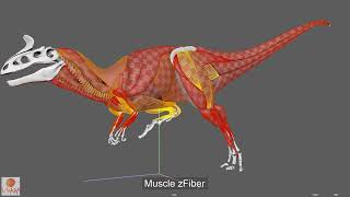 Ziva VFX  Cryolophosaurus FEM Simulation [upl. by Niwhsa]