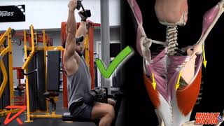 How to Do a Lat Pulldown  Common Mistake [upl. by Mittel]