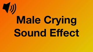 Male Crying  Sound Effect 4K [upl. by Cr679]