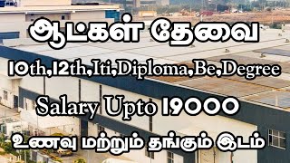 💥 ஆட்கள் தேவைRoomFoodamp Upto 19000Chennai Job Vacancy 2024 TamilChennai Jobs Today Openings [upl. by Jovia36]