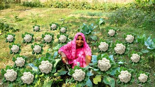 बेबी फूल गोभी का पहला फर हुआ तैयार और उसकी बनाई स्वादिस्ट सब्जी जो बनते ही झट से चट हो गयी😋😍 [upl. by Suiravat]