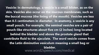 Vesicle  Medical Meaning and Pronunciation [upl. by Azer]