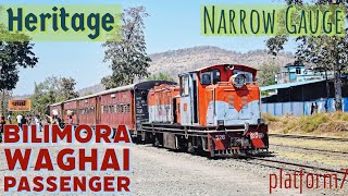 Most Luxurious Coach Of Narrow Gauge  Bilimora Waghai Train Journey [upl. by Yanahs]