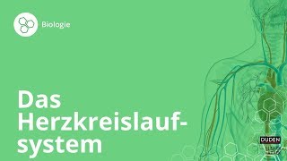 Das Herzkreislaufsystem So funktionierts – Biologie  Duden Learnattack [upl. by Htir]