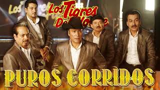 Los Tigres Del Norte 🔥 Puros Corridos Mix 🔥 Puros Corridos Pesados Mix 2021 [upl. by Iak789]