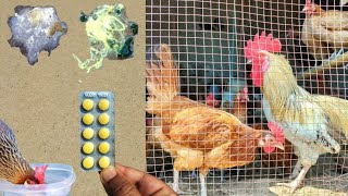 Antidiarrheal for Poultry Birds  Diarrhoea Treatment for Chickens in Winter Season  Dr ARSHAD [upl. by Edurtreg]