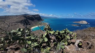 Đi chơi đê An dưỡng Hawaii cao hơn núi Ta đứng trên đỉnh đèo Makapuu Point 102024 [upl. by Koby]