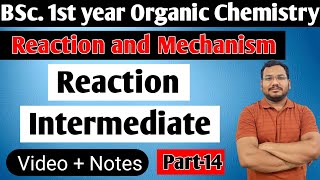 Reaction Intermediate  BSc 1st year organic chemistry  Reaction and Mechanism [upl. by Lexis117]