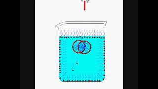 Micelle formation [upl. by Namyac388]