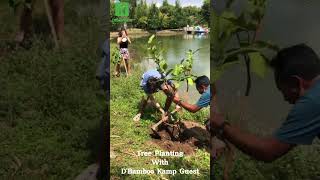 Plant a tree grow a memory bintan bintanisland bintanresort singaporediscovers [upl. by Oralee]